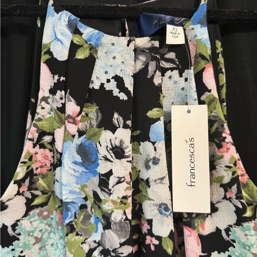 francesca's Black Floral Pleated Dress